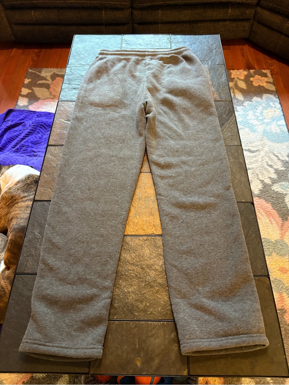 ALO  Women’s Gray Fleece Joggers - Picture 4 of 4